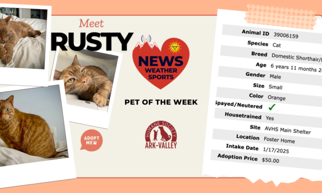 Meet Rusty – Heart of the Rockies Radio Pet of the Week!