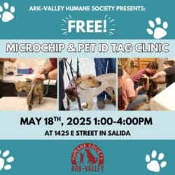 AVHS Provides Free Community Microchip and Pet ID Tag Clinics