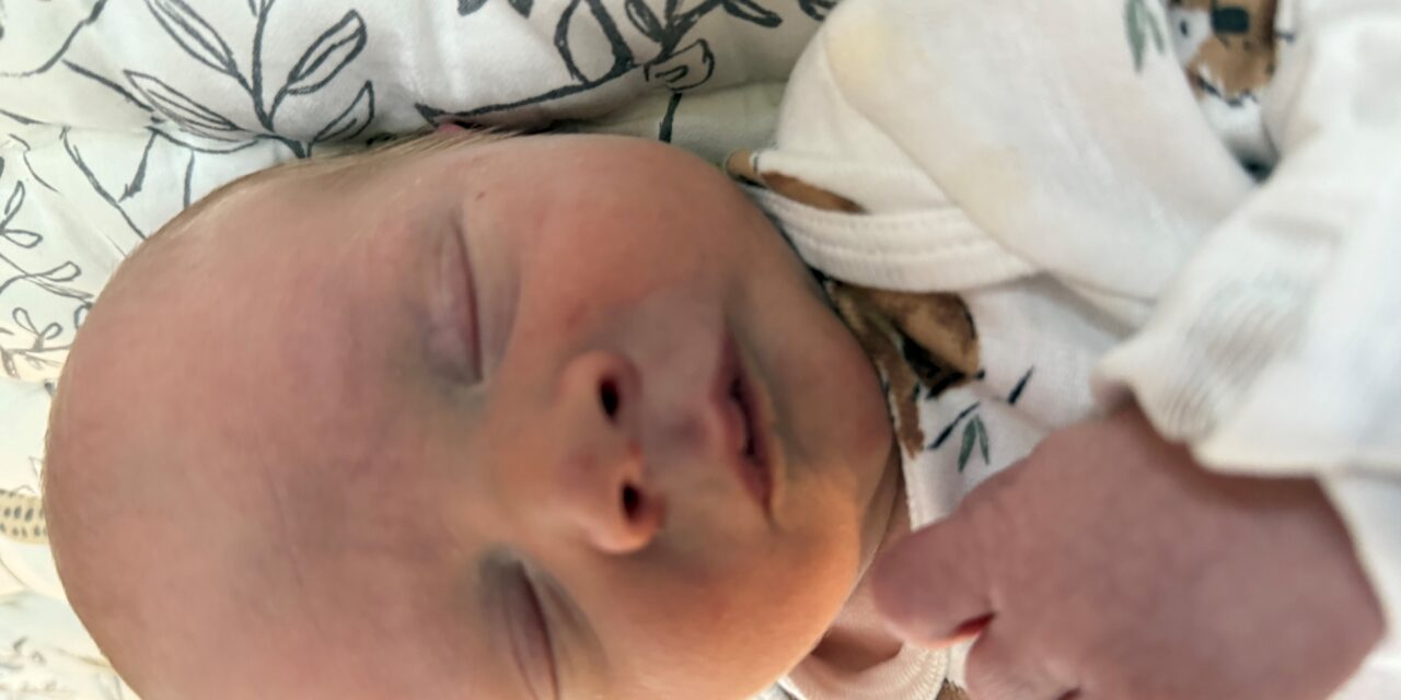 New Arrival: Callum Robert Webber