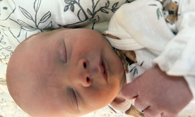 New Arrival: Callum Robert Webber