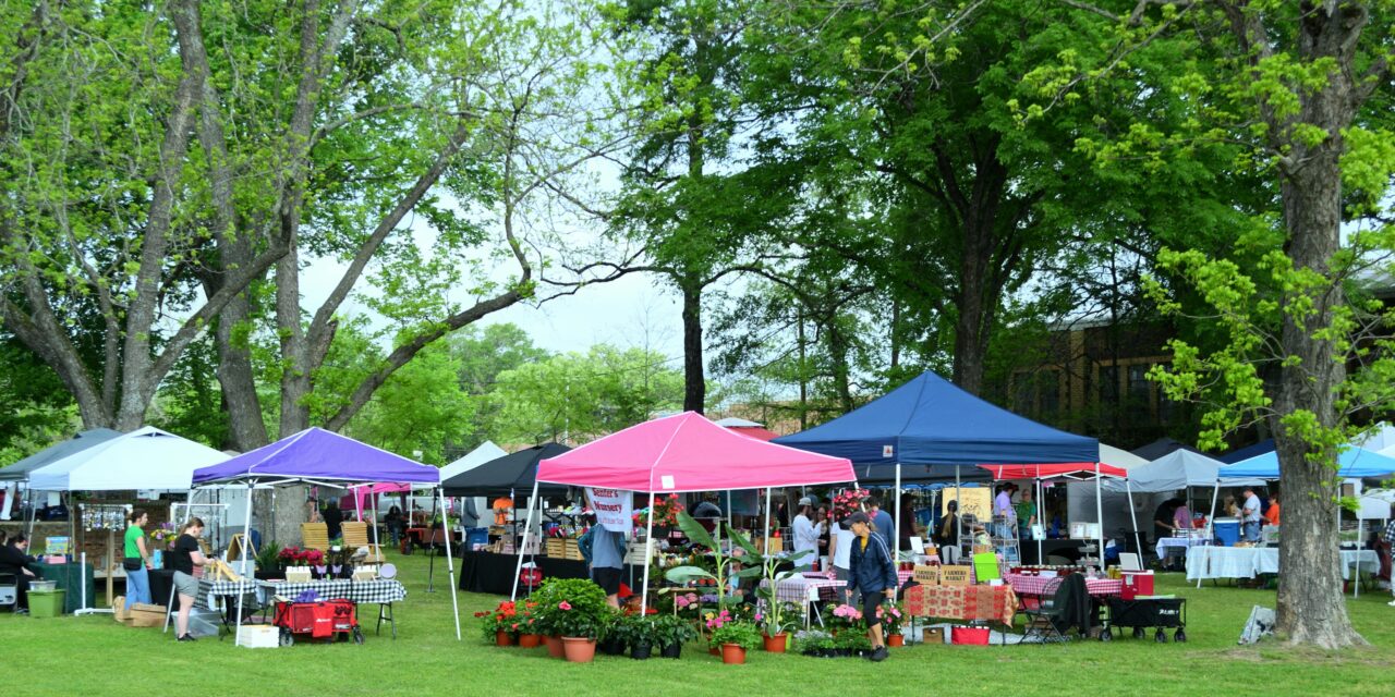 Farmers Markets Return to Salida and Buena Vista This Weekend