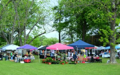 Young Entrepreneurs Farmers Market Set for Saturday at Chipeta Park in Poncha Springs