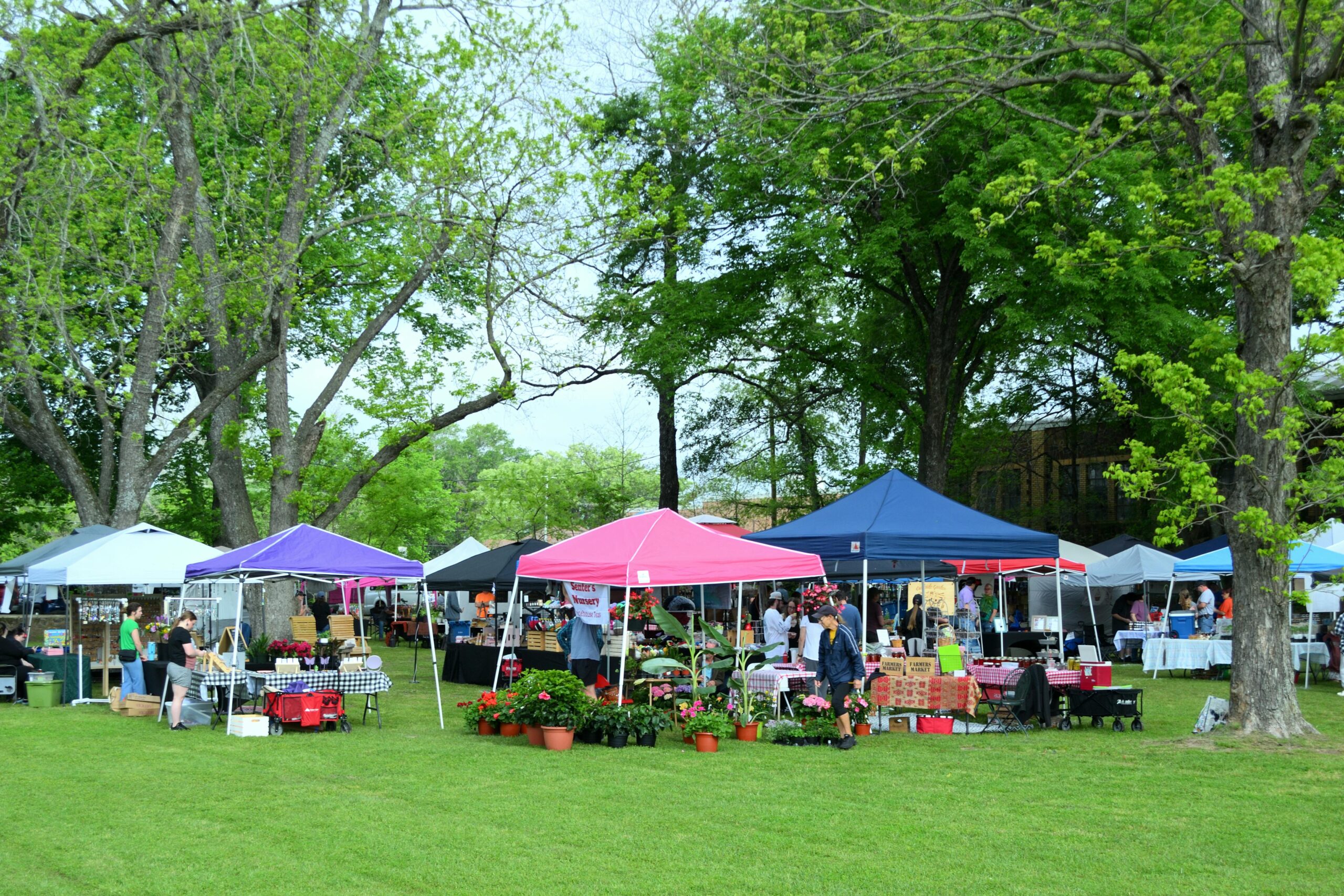 Weekend Events Across the Arkansas Valley