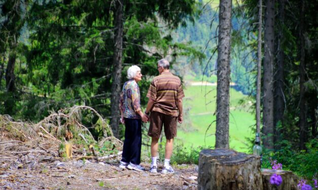 Matching Funds Campaign Launched for Chaffee County Assisted Living Project