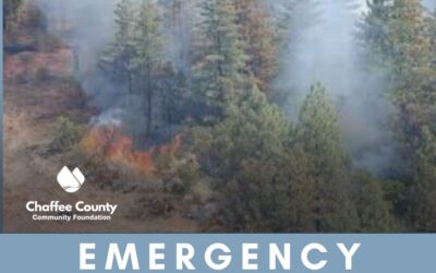 CCCF Activates Emergency Response Fund to Support Those Impacted by the Mountain View Fire