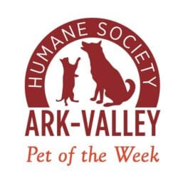 Ark Valley Humane Society Pet of the Week: Ms. Frizzle