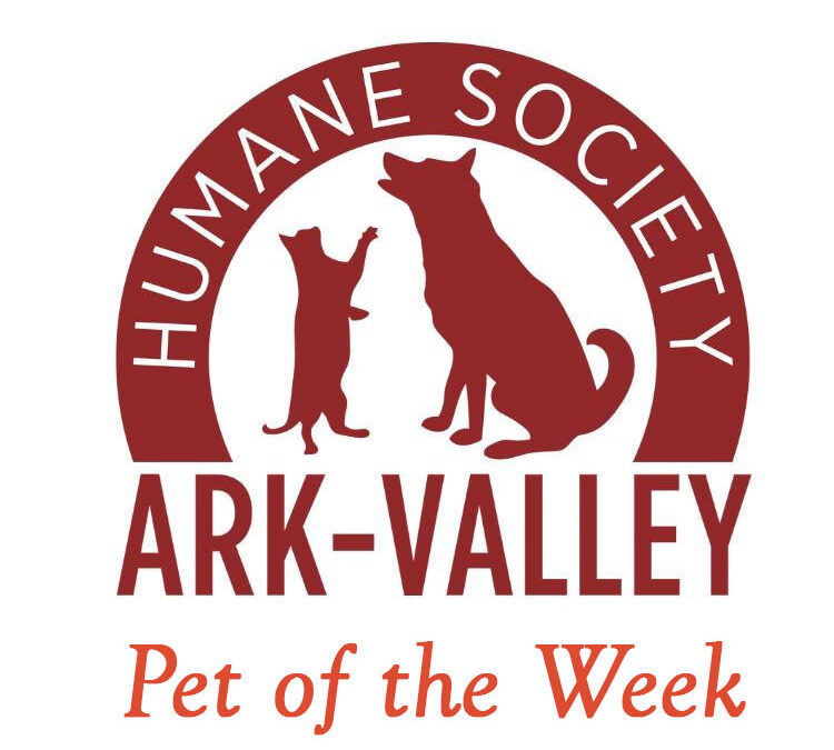 Ark Valley Humane Society Pet of the Week: Ms. Frizzle