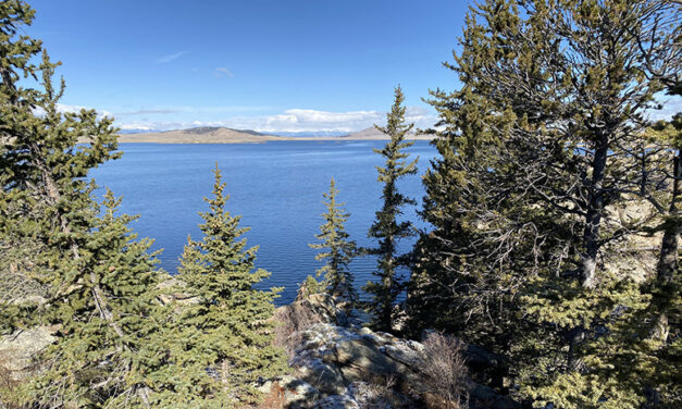 Tragic Paddleboarding Accident at Eleven Mile State Park Claims Life of Man and Dog