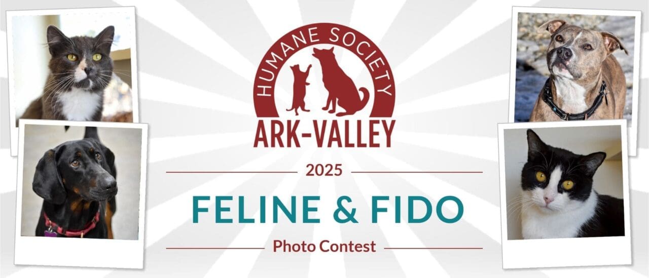 Enter the Feline & Fido Calendar Contest and Help Homeless Animals!