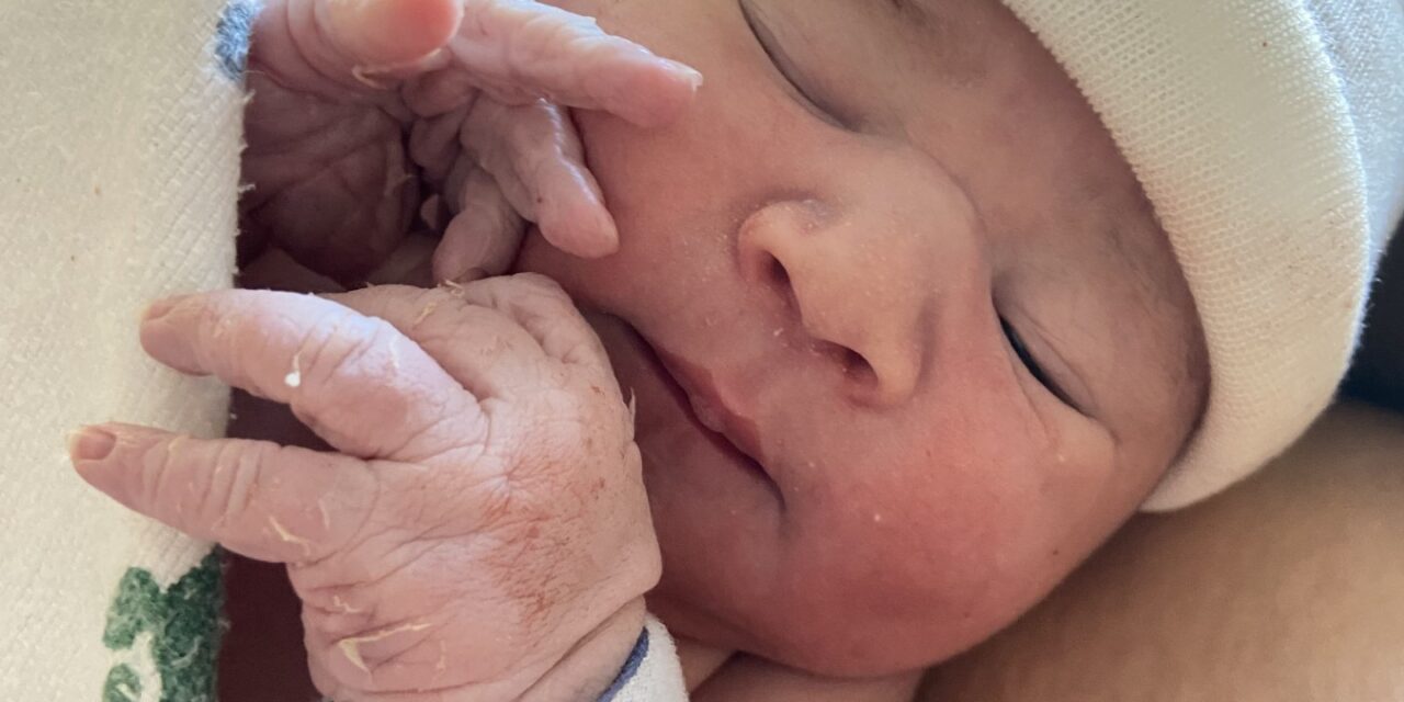 New Arrival: Rudy McCormack Slivka