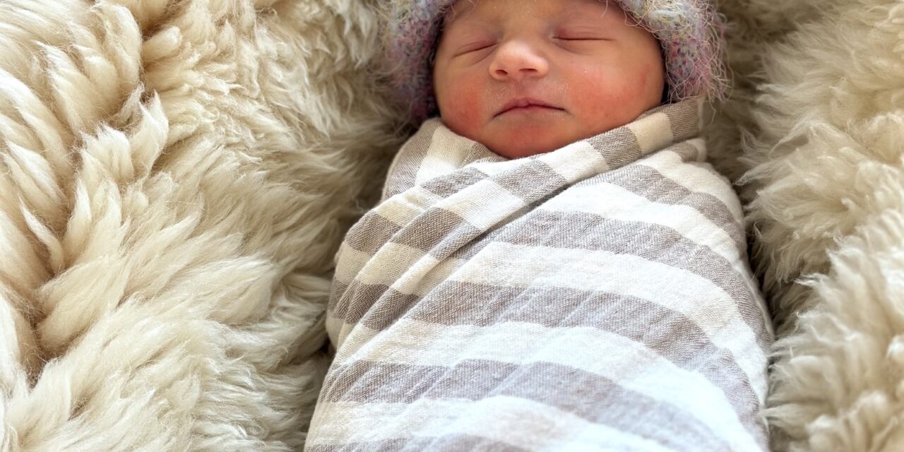 New Arrival: Bindi May Koehler