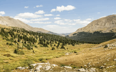 Pike & San Isabel Forests Announce Winter Prescribed Burns Through March