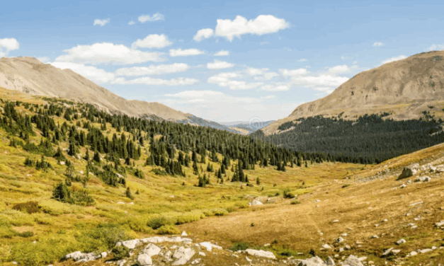 Pike & San Isabel Forests Announce Winter Prescribed Burns Through March