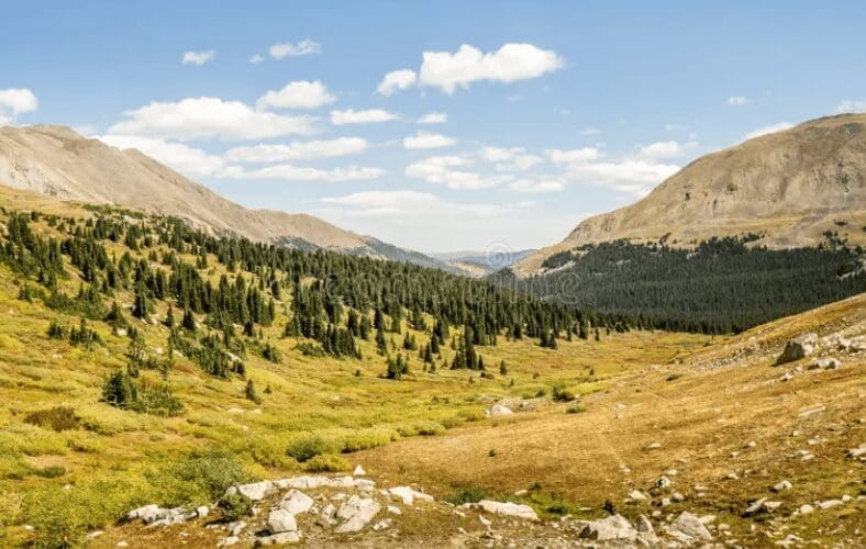 Pike & San Isabel Forests Announce Winter Prescribed Burns Through March