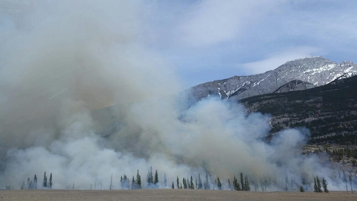 Arson Trial Vacated After Defendant Found Incompetent in Teller County Wildfire Case