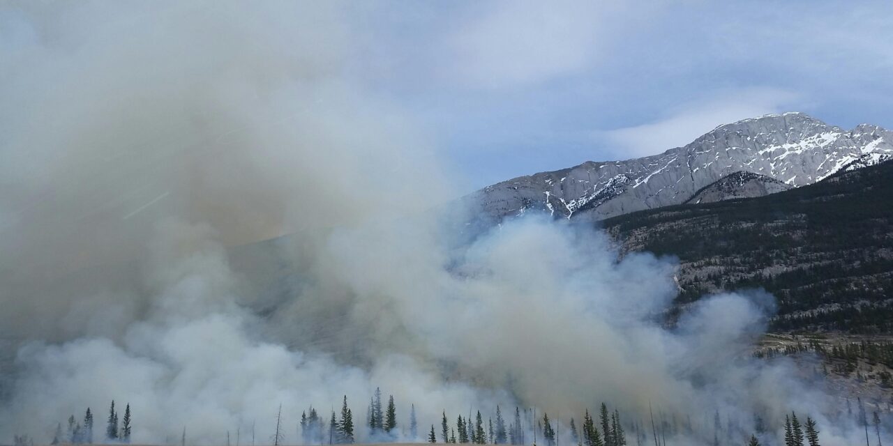 Arson Trial Vacated After Defendant Found Incompetent in Teller County Wildfire Case