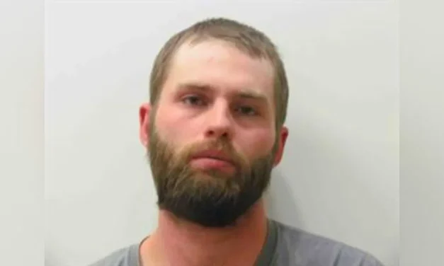High-Speed Pursuit on Highway 291 Ends in Arrest Near Salida