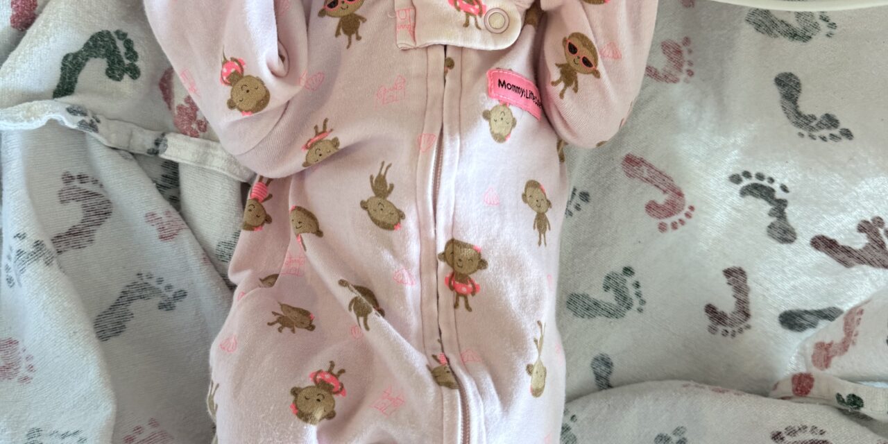 New Arrival: Mille Jean Schoenfeld