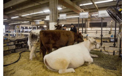 National Western Stock Show Kicks Off in Denver