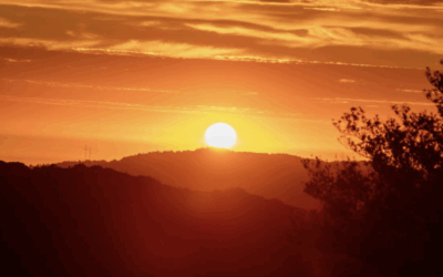 5 p.m. Sunsets Return as Daylight Slowly Increases