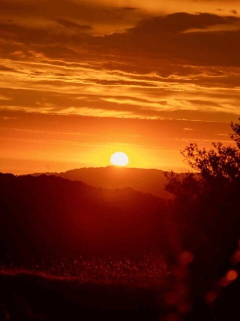 5 p.m. Sunsets Return as Daylight Slowly Increases