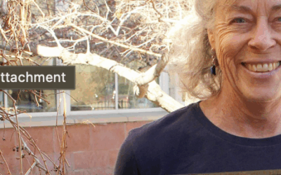 Original Paintings by Salida Artist Sally Mather on Display at HRRMC