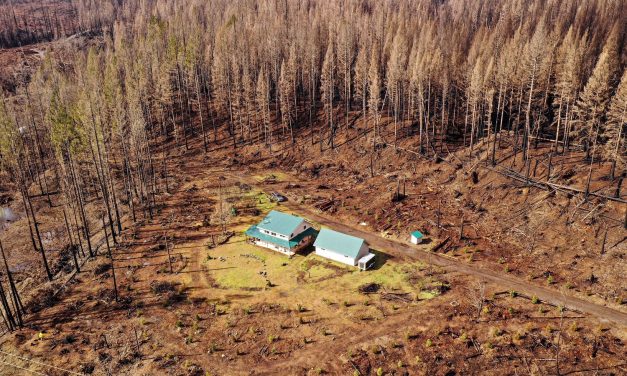 How to protect your home from wildfire