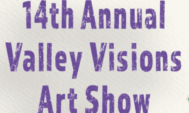 Applications Open for 14th Annual Valley Visions Art Show