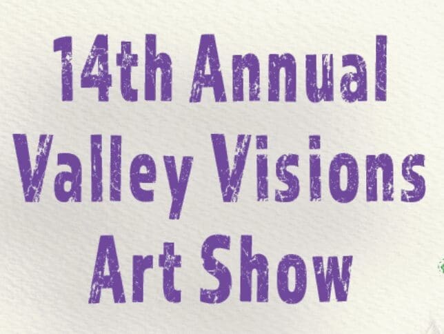 Applications Open for 14th Annual Valley Visions Art Show