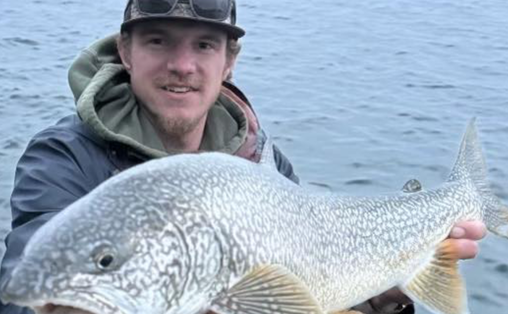 Search Underway for Missing Hunter, Kaden Sites, on Mount Shavano