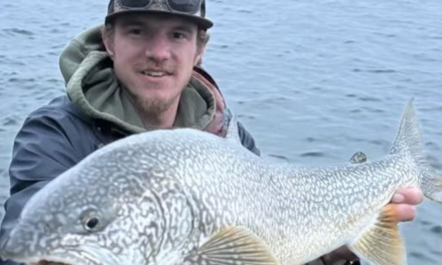 Search Efforts Intensify for Missing Hunter Kaden Sites in Mt. Shavano Area