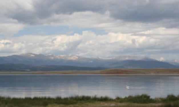 Emergency Fish Salvage Approved at Antero Reservoir Ahead of Planned Drainage