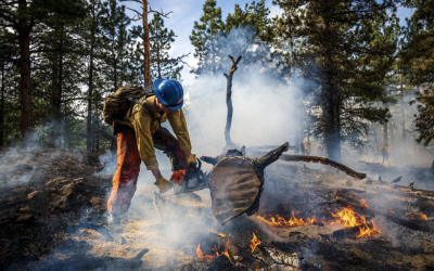 Governor Polis Declares May as Wildfire Awareness Month