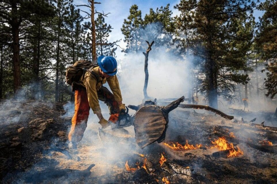 Governor Polis Declares May as Wildfire Awareness Month