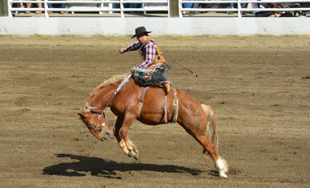 Chaffee County Rodeo Begins Tomorrow