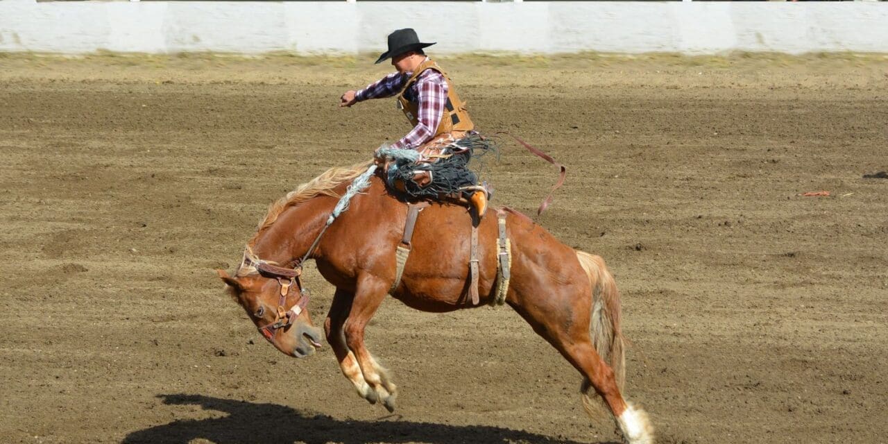 Chaffee County Rodeo Begins Tomorrow