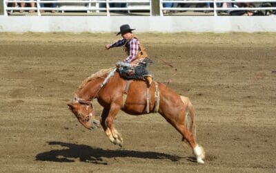 Chaffee County Rodeo Begins Tomorrow