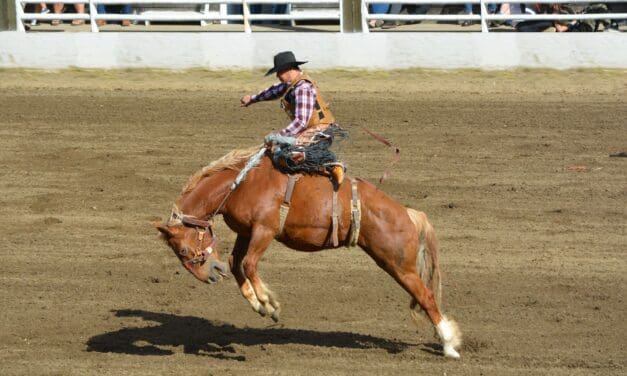 Chaffee County Rodeo Begins Tomorrow