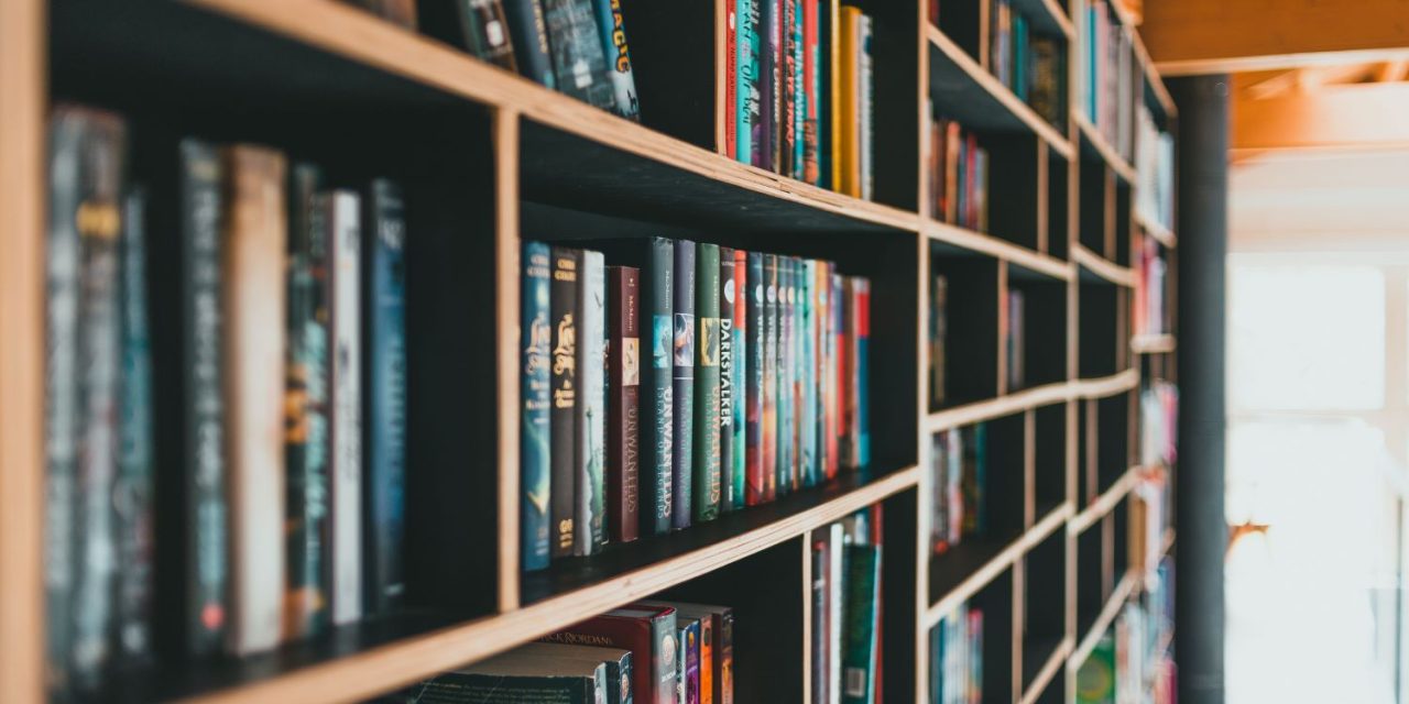 Survey for Library Presence in Poncha Springs