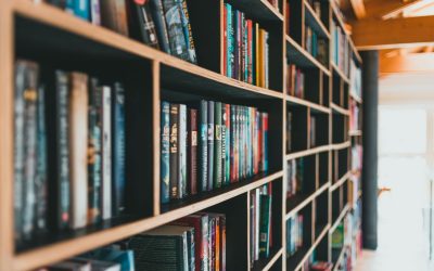 Survey for Library Presence in Poncha Springs