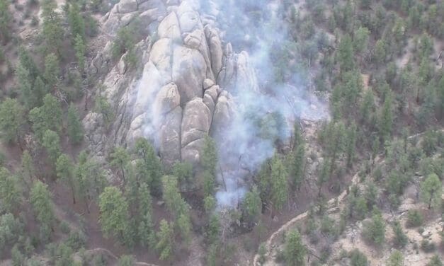 Browns Canyon Fire