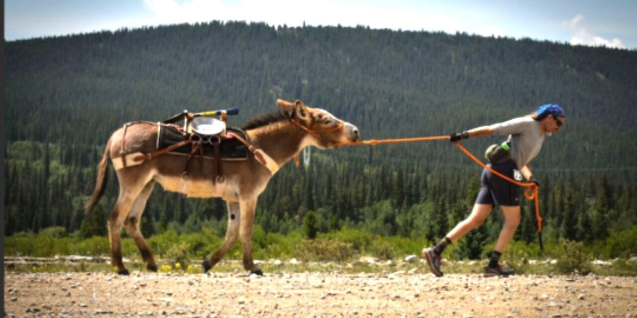 Fairplay’s Burro Days This Weekend
