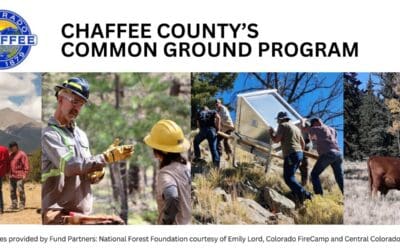Common Ground Competitive Grant Cycle Open