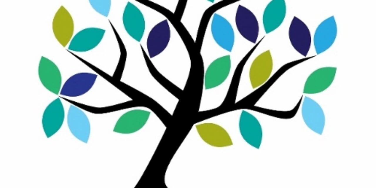 2026 Community Health Assessment