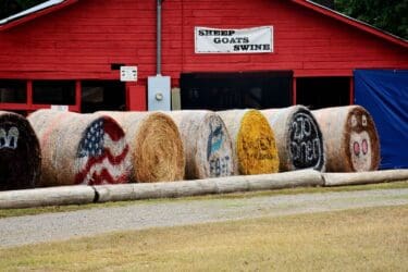 Activities at the Chaffee County Fair
