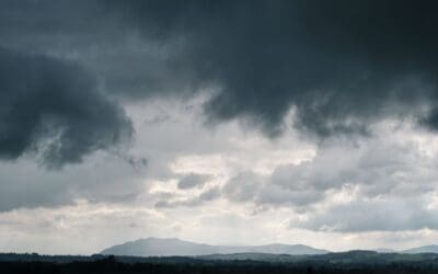 Forecast for July 28th