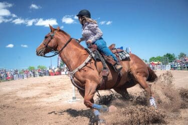 Fair and Rodeo Begin Today