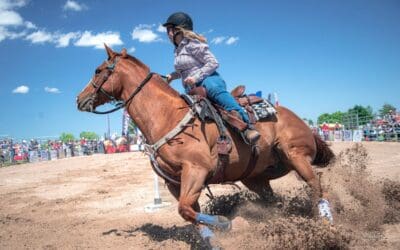 Fair and Rodeo Begin Today
