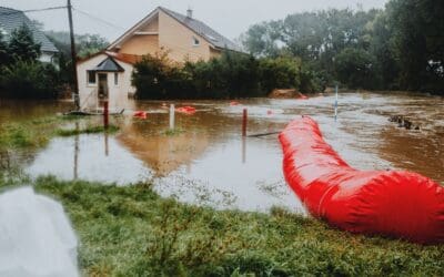 Wildfire Updates: Burn Scars Create Flood Risk
