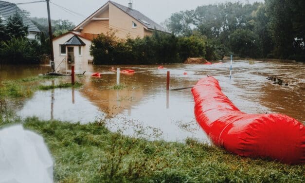 Wildfire Updates: Burn Scars Create Flood Risk